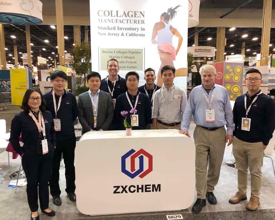 exhibition zxchem